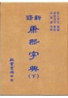  新修康熙字典(16开)(上、下册)    高树藩 启业